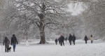 19 Covid Walk In The Winter Snow