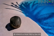 BENEATH-A-PALM-TREE-by-Stan-Hill