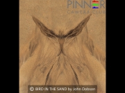 Bird in the Sand