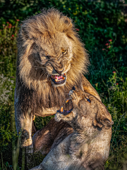 Rough Sex