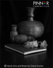 P1250886 Book, Urns and Roses