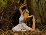 Terry-Blackman-BALLERINA-IN-THE-WOOD-by-Terry-Blackman