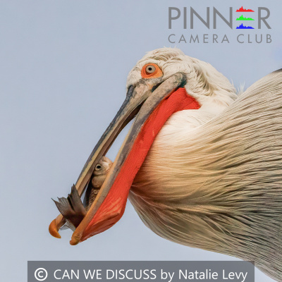 CAN WE TALK ABOUT THIS