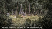 Cemetery-Zydowski-Warsaw-by-Lew-Wasserstein