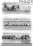 Crossing the Chobe River