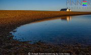 Shingle-Street-Awakening-by-Colin-Sharp