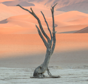 Deadvlei-by-Colin-Sharp