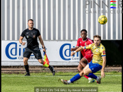 EYES-ON-THE-BALL-by-Kevan-Rosendale