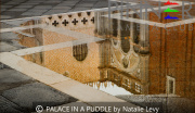 PALACE IN A PUDDLE