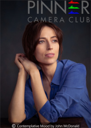 Contemplative-Mood-by-John-McDonald