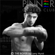 THE-BOXER-by-Larry-Hurst