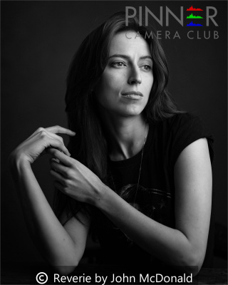 Reverie-by-John-McDonald