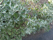 P1023014