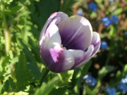 P1023015