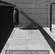 SHADOW-PLAY-by-Terry-Blackman