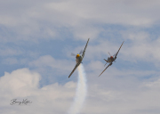 Dogfight